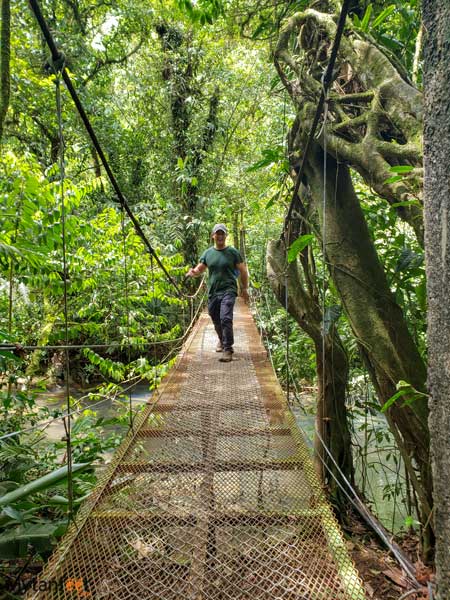 Tenorio Volcano National Park bridge. Photo of a man in a hat and green shirt, facing the camera walking on a hanging bridge through the rainforest 