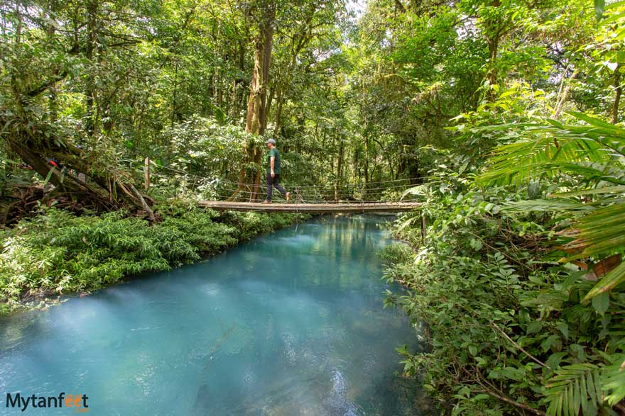 Rio Celeste bridge. Photo of a man in a hat and green shirt walking on a wooden bridge over a sky blue river in the rainforest 