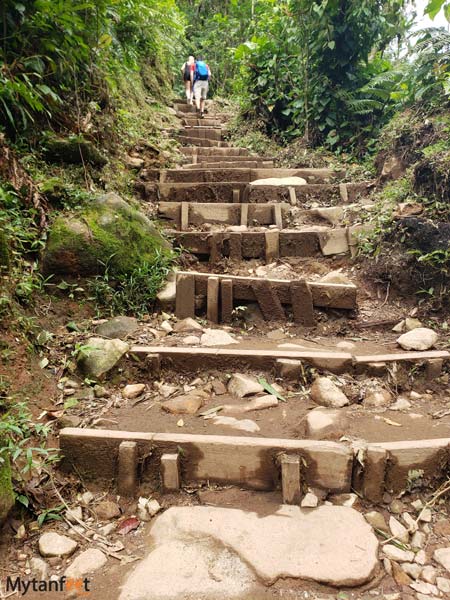 Tenorio volcano National park trail. Photo of a dirt path with lots of rocky steps 