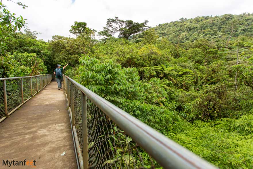 Tenorio Volcano National Park bridge. Photo of a metal wooden bridge through the open rainforest, a man pointing right walking towards the back 