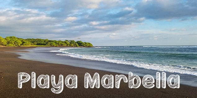 playa marbella featured