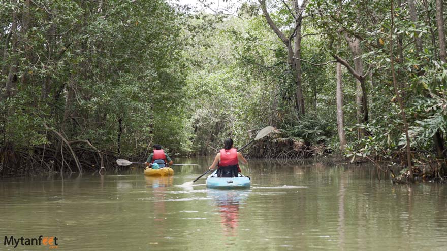 Things to do in Manuel Antonio