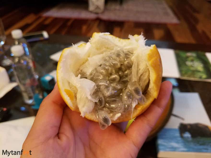 Costa Rica fruit - Granadilla