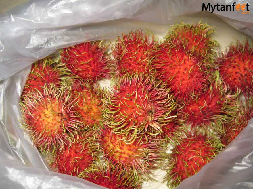 Costa Rica fruit rambutan