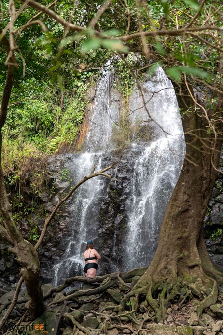 Seasonal waterfall