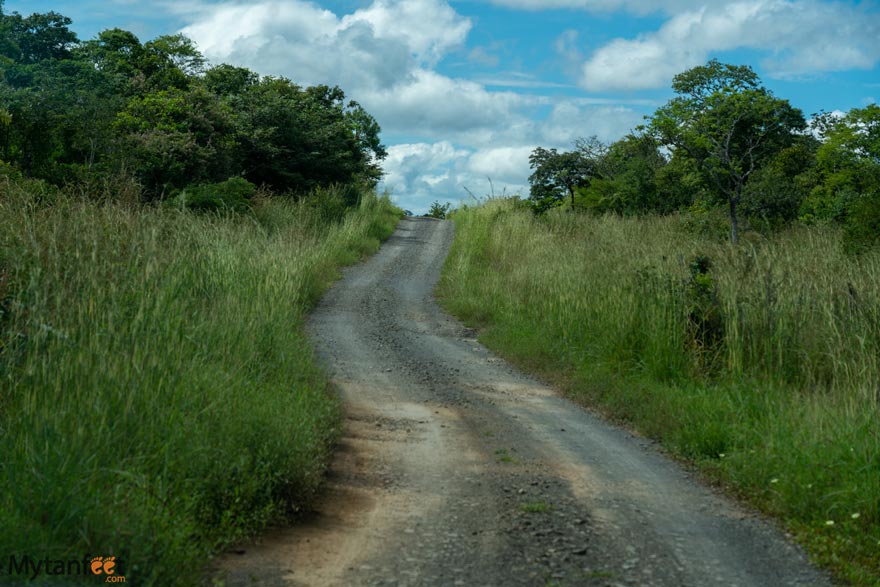 cortes-waterfall-road