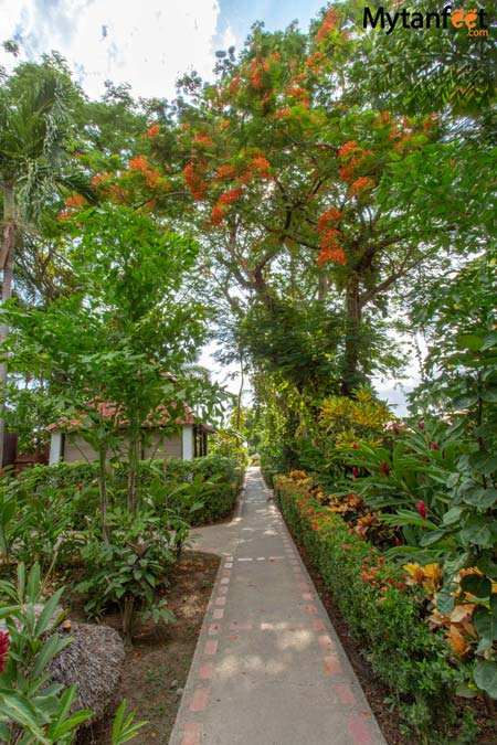 Bahia del Sol's garden 