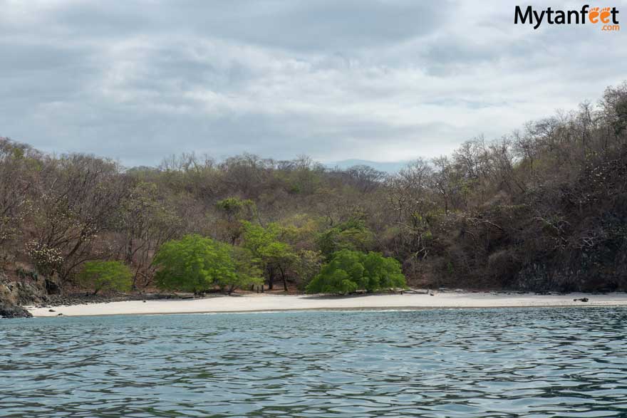 Private flamingo snorkeling excursions - Playa Amor