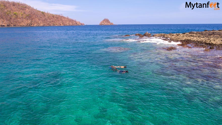 flamingo snorkeling excursion