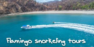 playa flamingo snorkeling tours featured