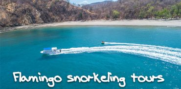 playa flamingo snorkeling tours featured