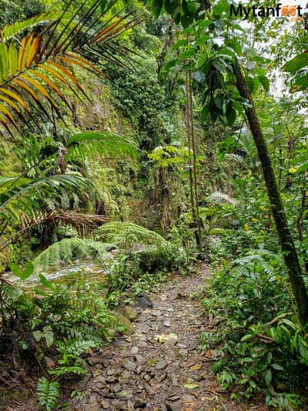 Catarata Rio Agrio trail