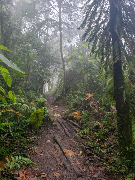 Trail to the blue pools (pozas azules)