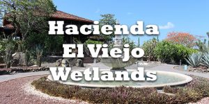 hacienda el viejo wetlands