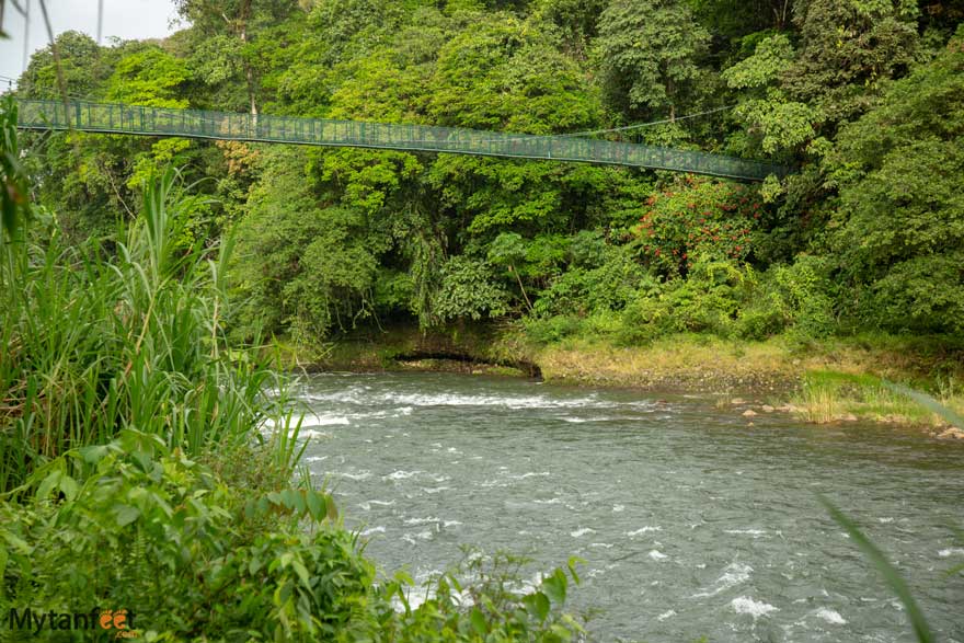 selva verde lodge guided nature walk