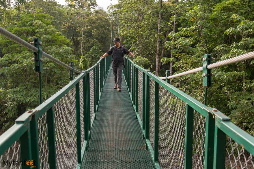 selva verde lodge guided nature walk