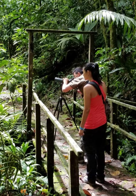 guided nature walk in sarapiqui