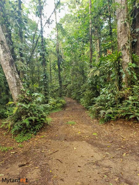 catarata poza azul trail