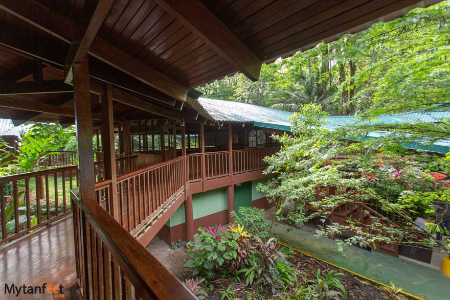 selva verde lodge sarapiqui room