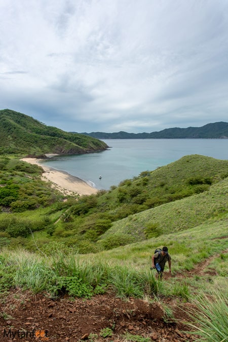 Bat Island trails