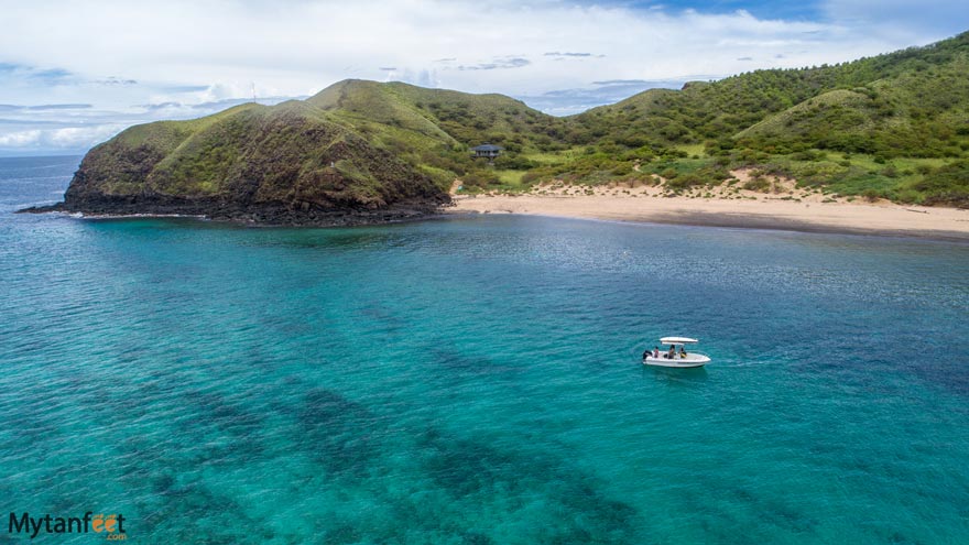 Isla San Jose Bat Islands