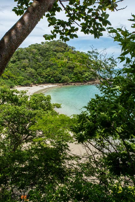  view of beach next door