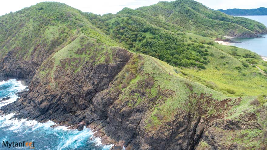 Walking bat islands