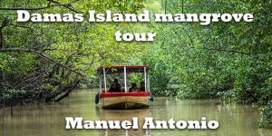 Damas Island mangrove boat tour featured