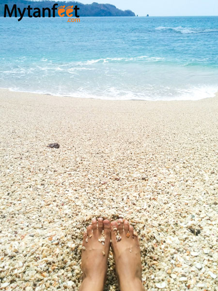 Shells Must Remain on Costa Rican Beaches 