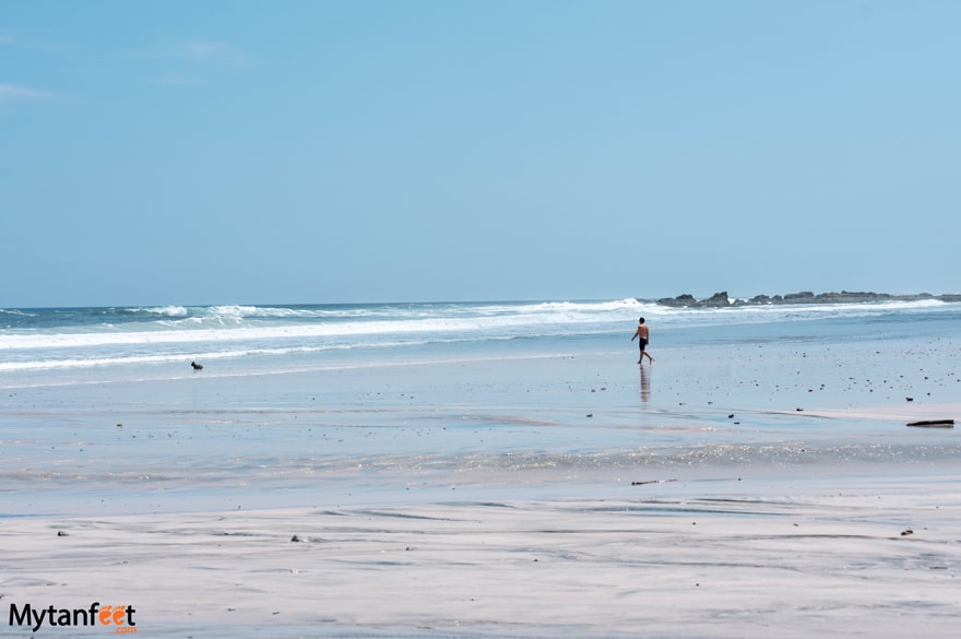 A man is walking on a vast empty beach, there is a small dog near him - Playa Barrigona, Costa Rica 