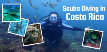 scuba diving in costa rica