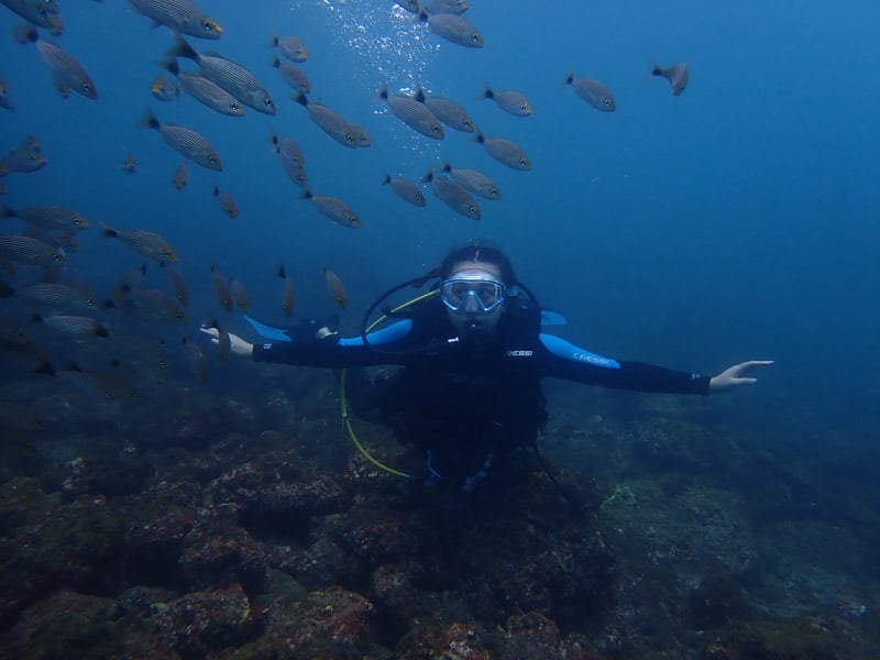 catalina islands scuba diving