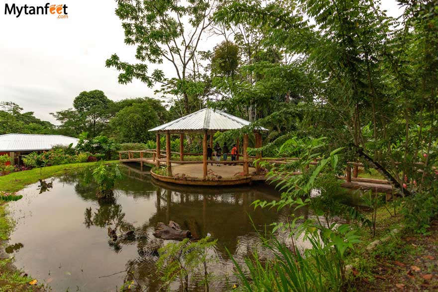 night walk tour la fortuna