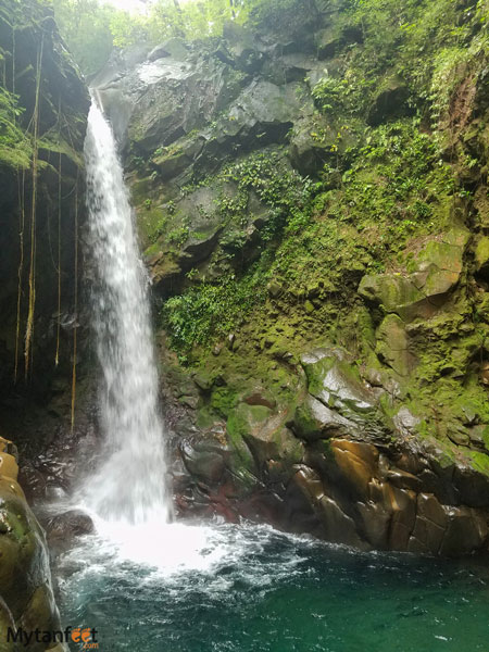 Catarata la oropendola in Curubande de Liberia