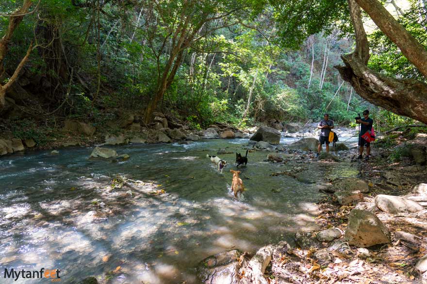 catarata la leona river