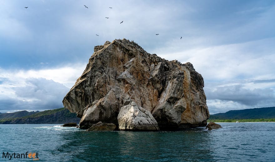 Witch's Rock: The Ultimate Surf Trip in Costa Rica