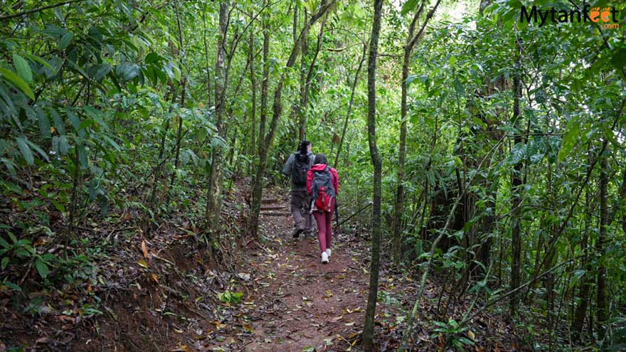 Guanacaste rainforest sloth tour - heliconias hanging bridges reserve