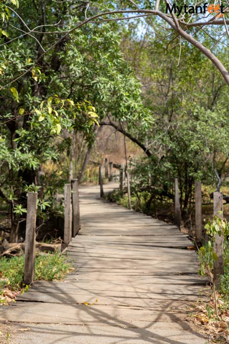 Trail from parking lot