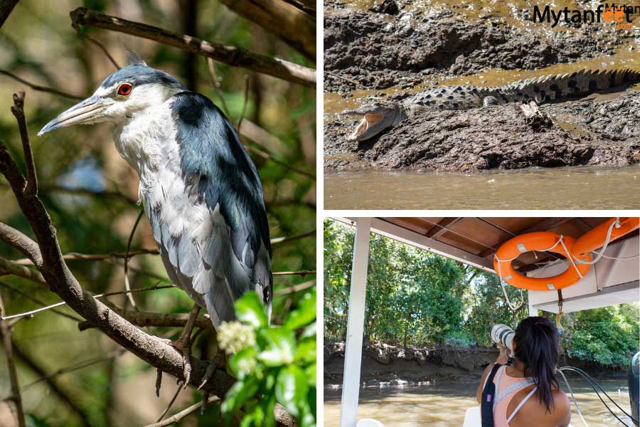 palo verde nationanl park boat tour