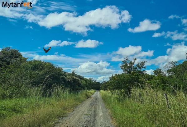 Road to Llanos de Cortez waterfall