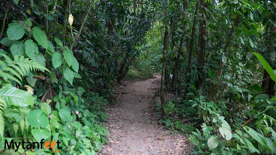 el salto la fortuna trail