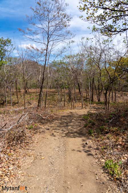 Trail to Playa Azucar 