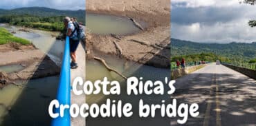 costa rica crocodile bridge featured