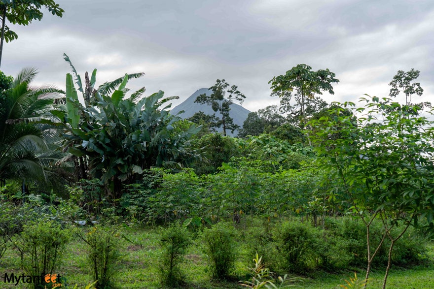 La Fortuna cooking class - Arenal Volcano and the farm 