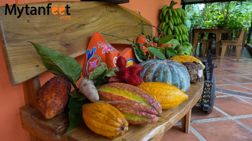 la fortuna cooking class ingredients