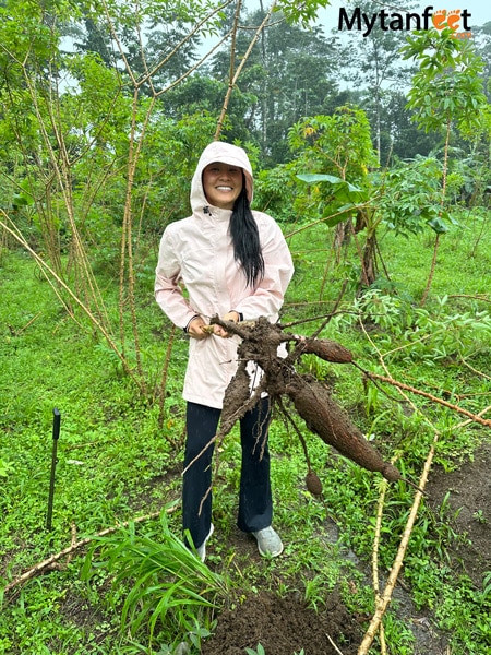 La Fortuna cooking class - a woman in a pink rainjacket is smiling and holding a large yucca root