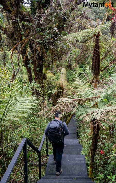  circular trail