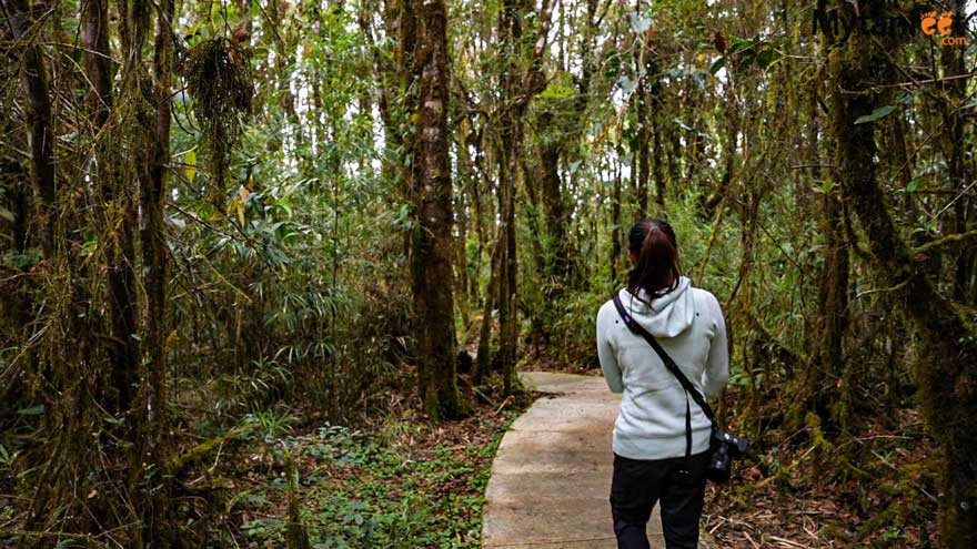 los quetzales national park circular trails