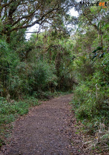  oro de agua trail