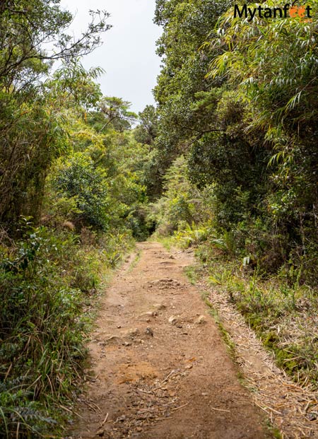 los quetzales national park trail oro de agua 